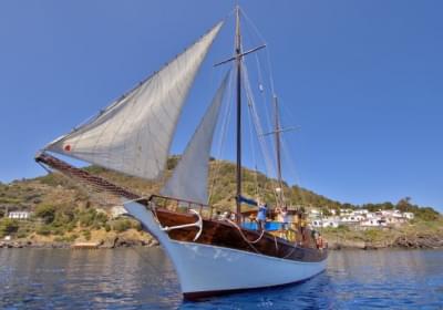 Agenzia/operatore Turistico Escursioni in Barca Guletta